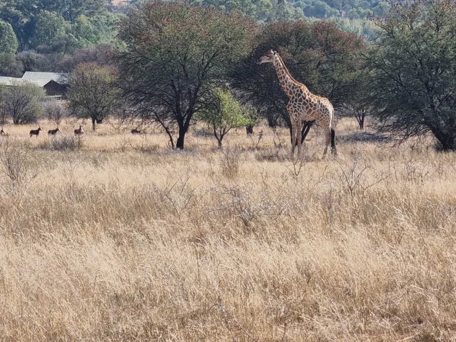 4 Bedroom Property for Sale in Vredefort Free State